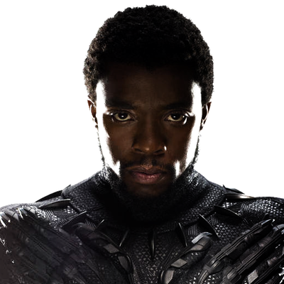 black panther highlights and shadows n_30 1_60
