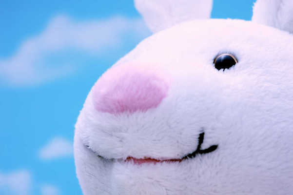 bustle - Happy Easter! 8 Reasons Why This Is One Of The Most Fun Holidays To Celebrate Of The Year