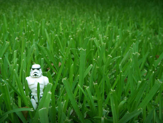 the-mary-sue - Australian Cosplayer’s Stormtrooper Armor Stops Snakebite