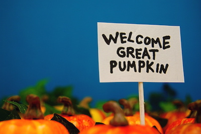 npr-ncpr - The Great Pumpkin, the giant pumpkin and other squash