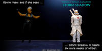 PopFig toy comic with Storm and Storm Shadow.