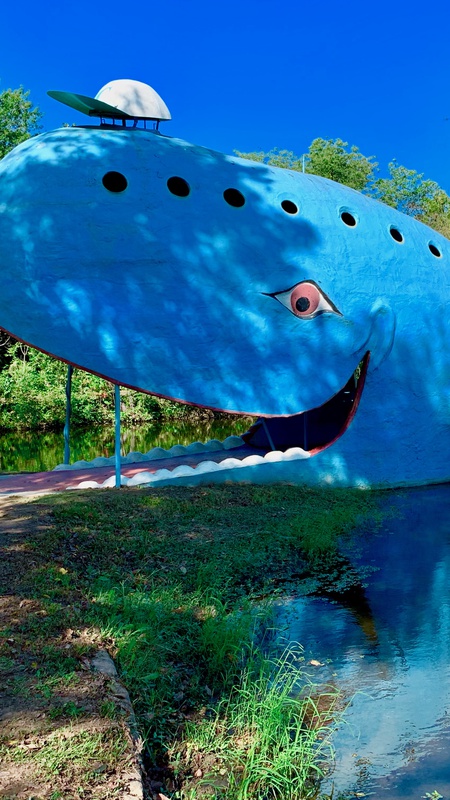 Blue Whale Front